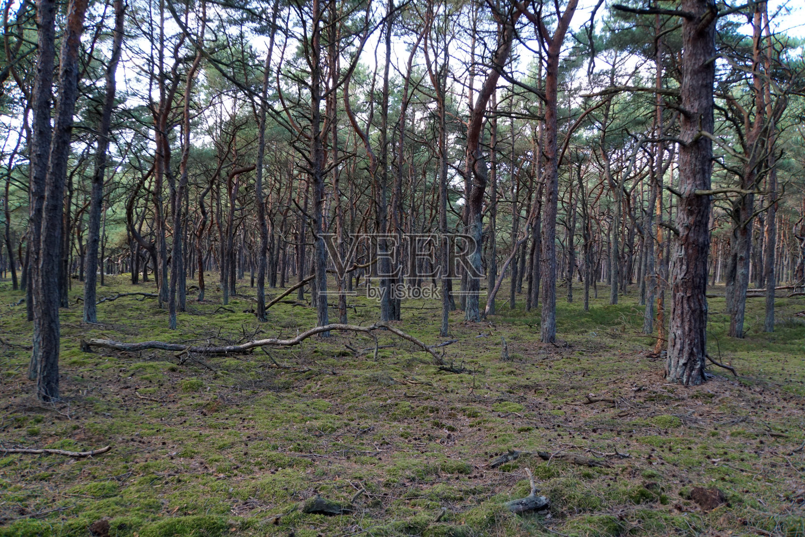 风景照片摄影图片
