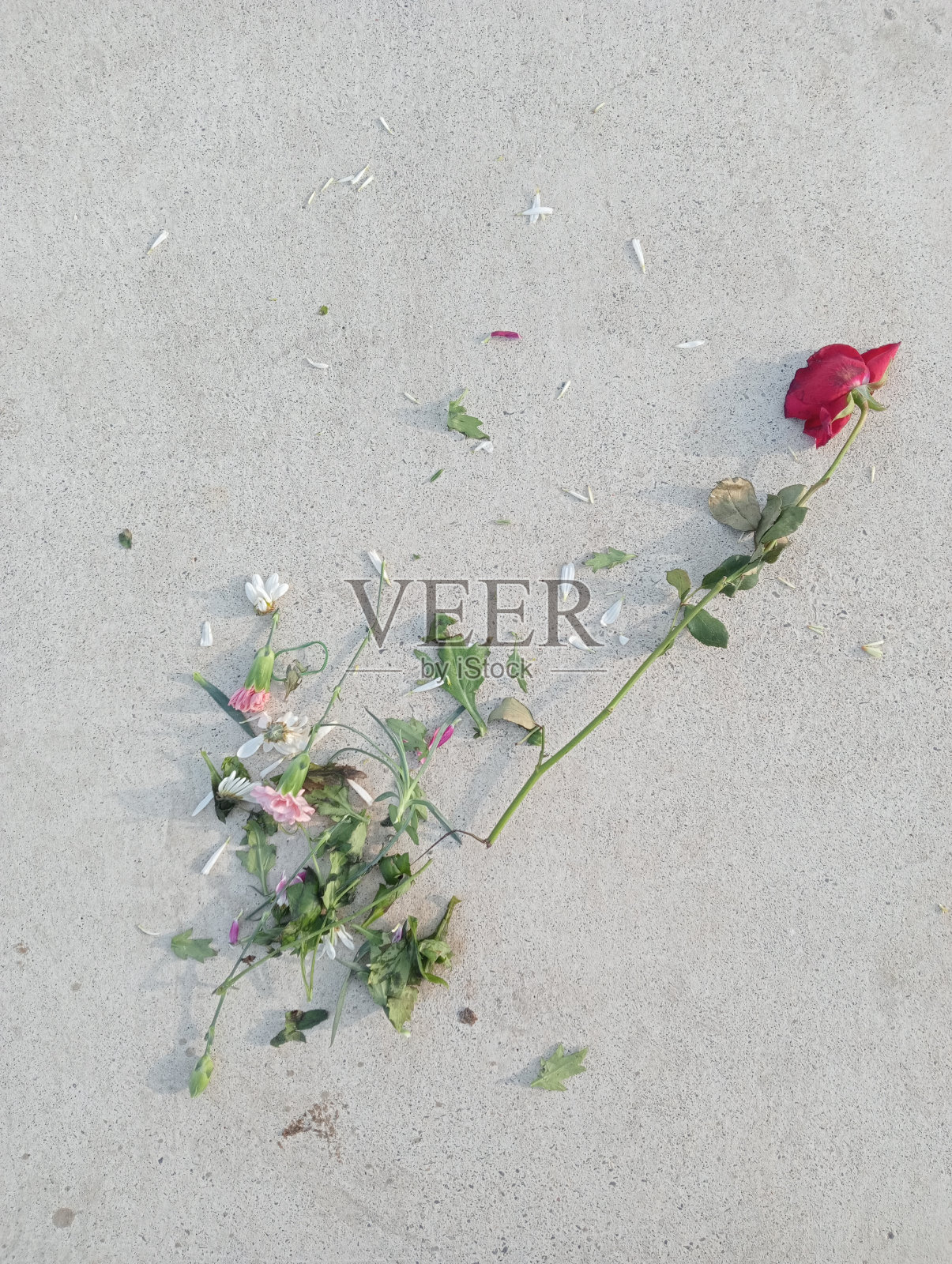 浪漫的照片摄影图片