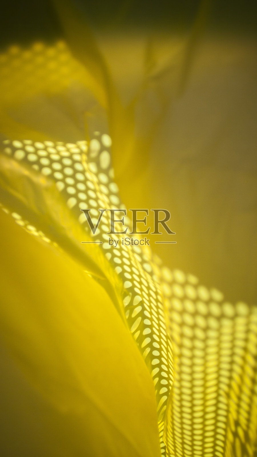 黄色塑料袋里的小点照片摄影图片