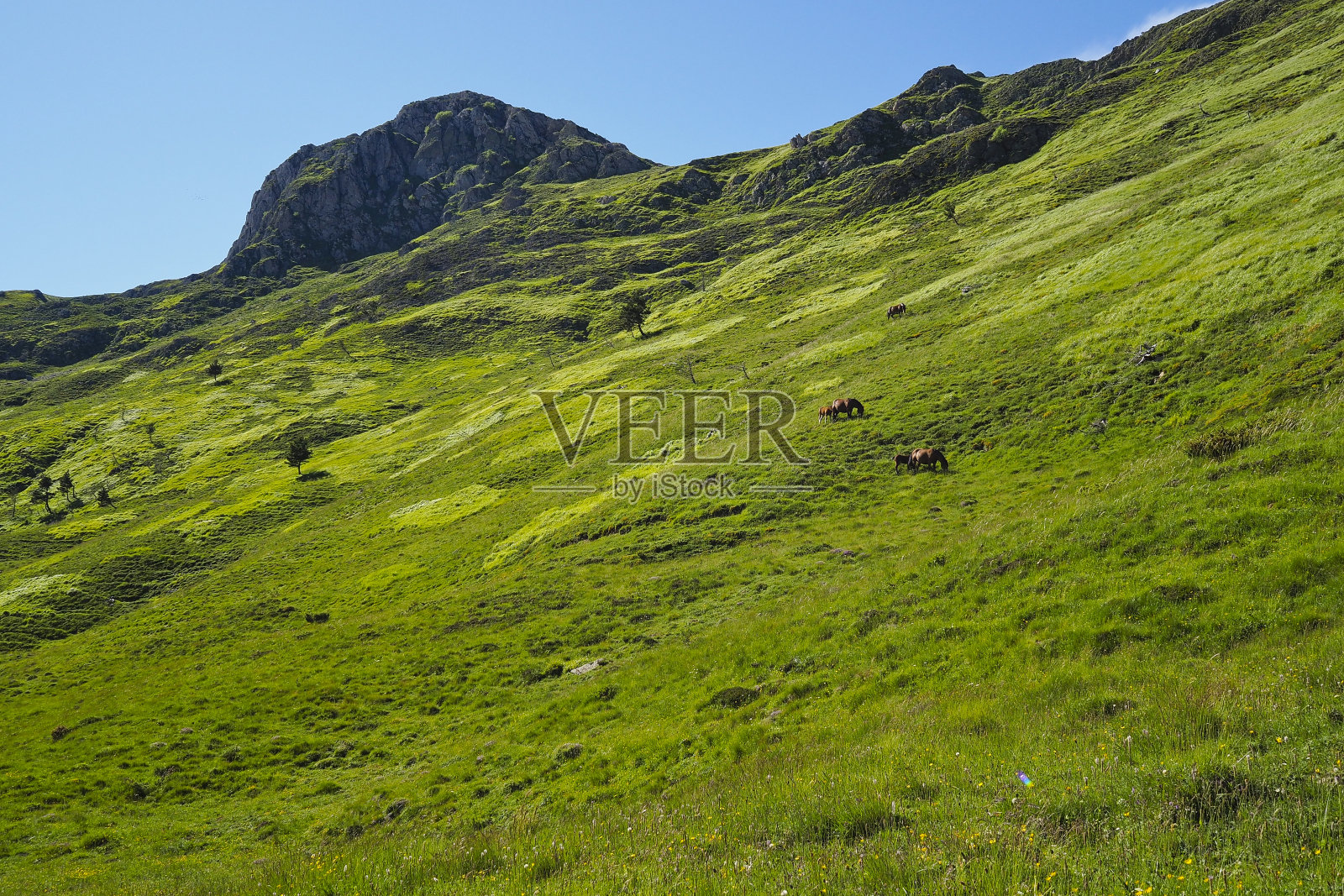 贝拉瓜谷(西班牙纳瓦拉)照片摄影图片