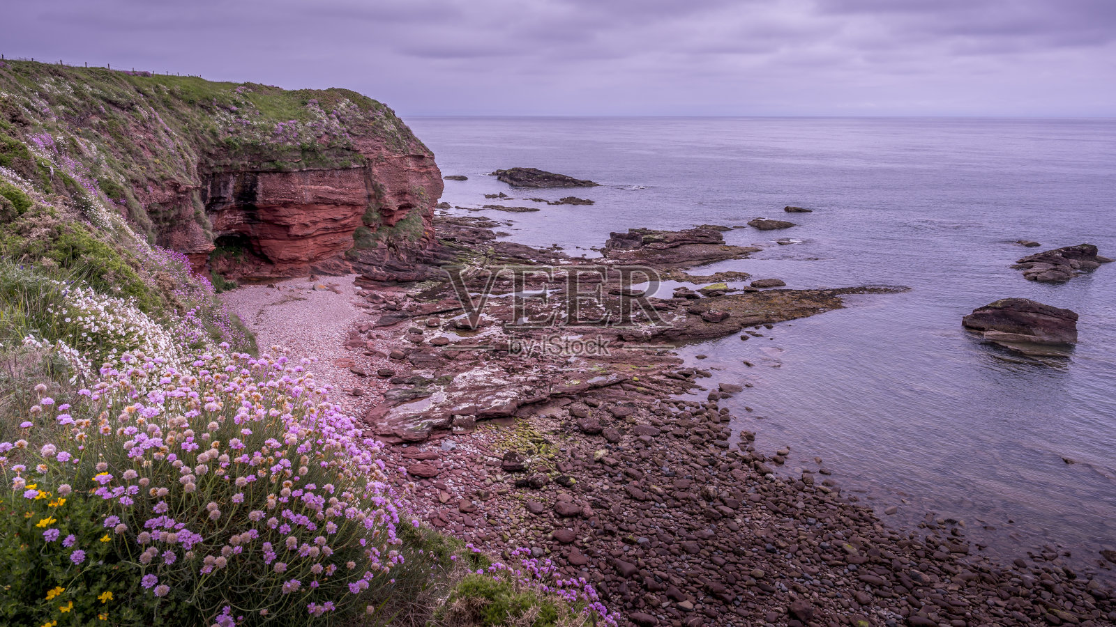 阿尔布罗斯港附近苏格兰海岸悬崖的海景照片摄影图片
