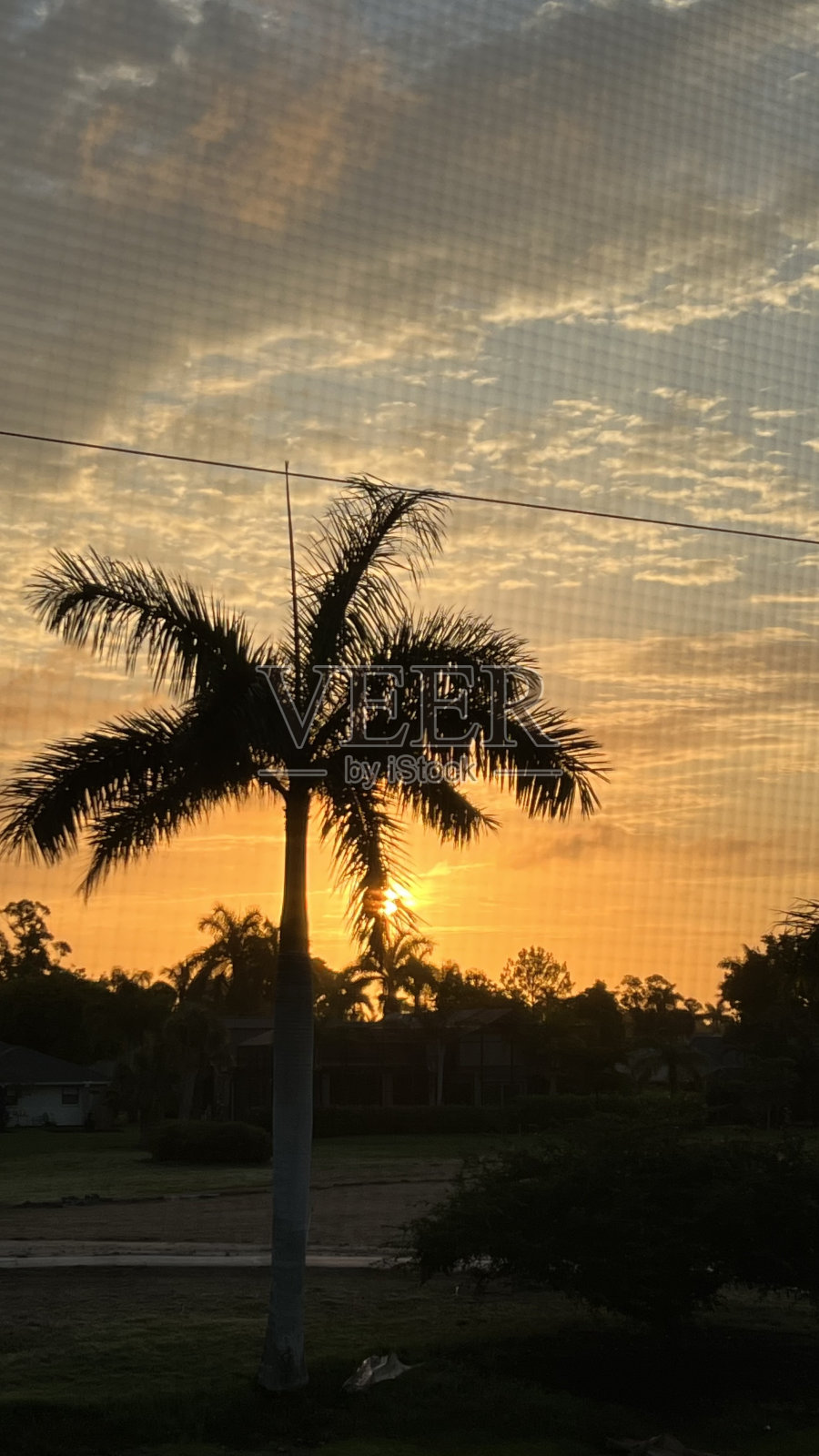 珍惜日出照片摄影图片