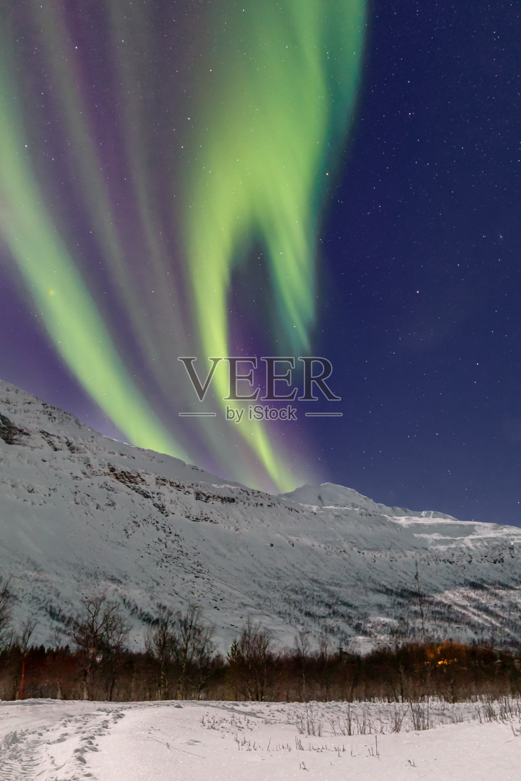 林根峡湾上空的极光和星星照片摄影图片
