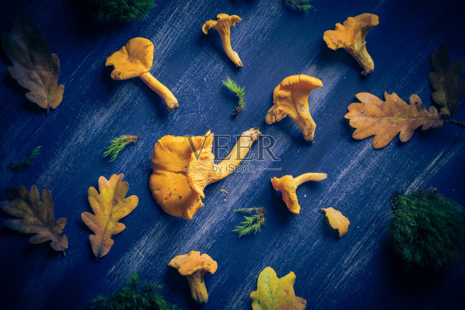 秋天的背景卷秋礼物蓝色木板照片摄影图片