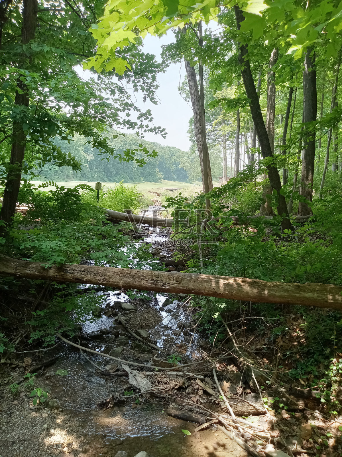 溪照片摄影图片