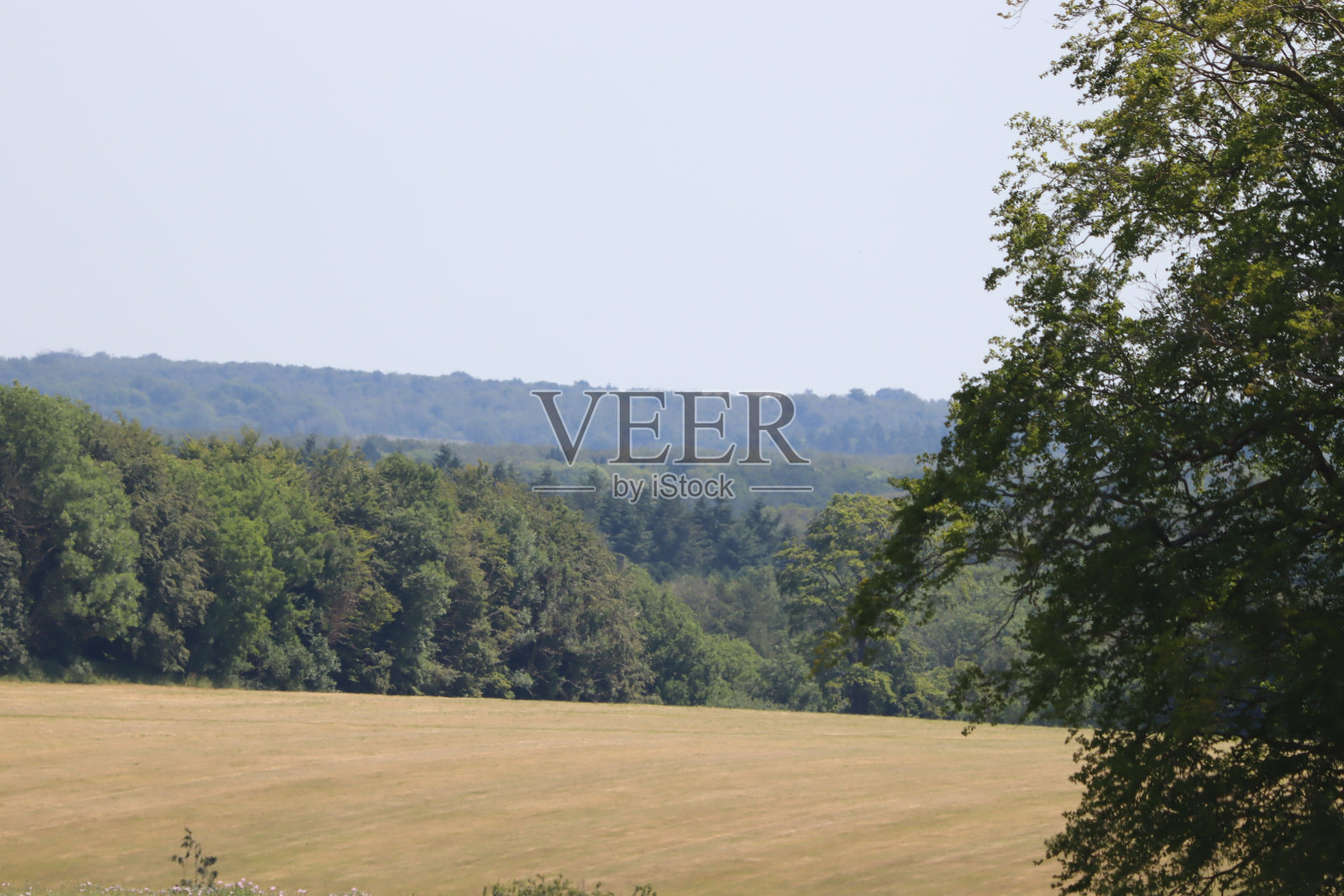 南唐斯丘陵照片摄影图片