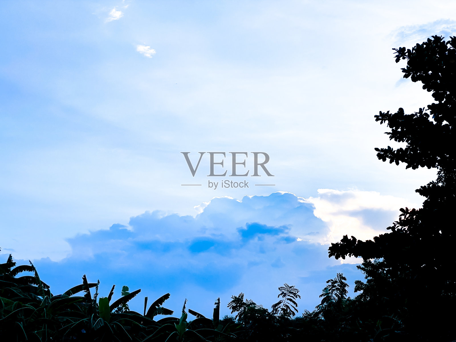 背景是蓝色和金色的天空照片摄影图片