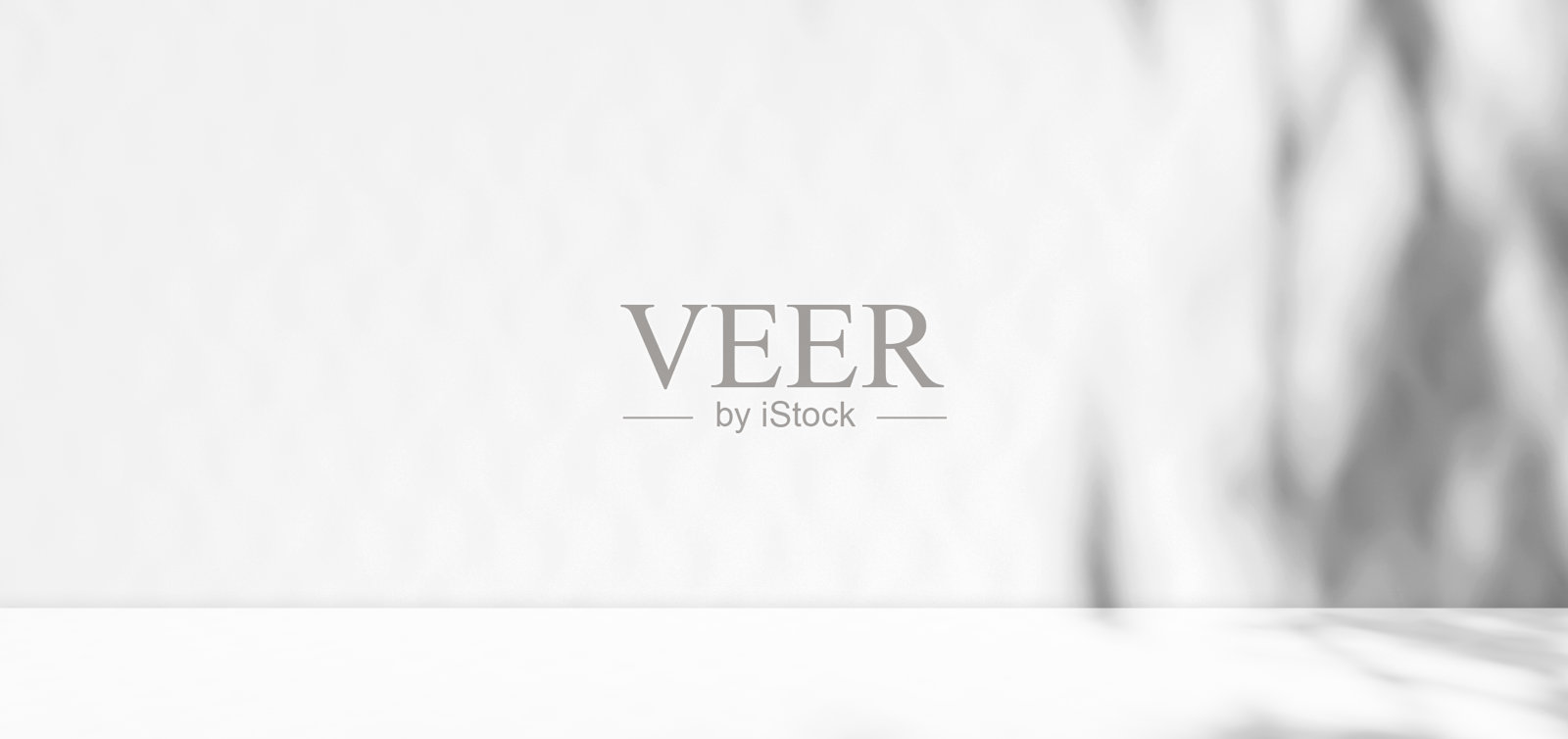 背景阴影白光植物叶子在工作室房间的桌子产品，灰色墙壁地板梯度背景，3d抽象从窗口的房子在舞台上，讲台极简优雅的夏季美学，纹理自然照片摄影图片