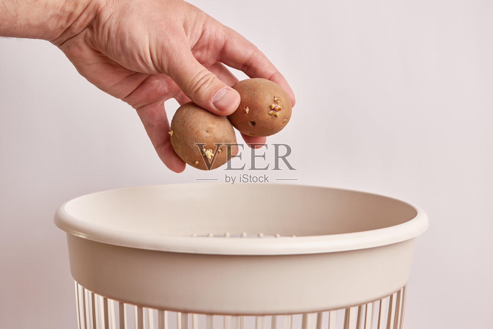 过期的土豆被扔进垃圾桶。处理及循环再造食物产品。照片摄影图片