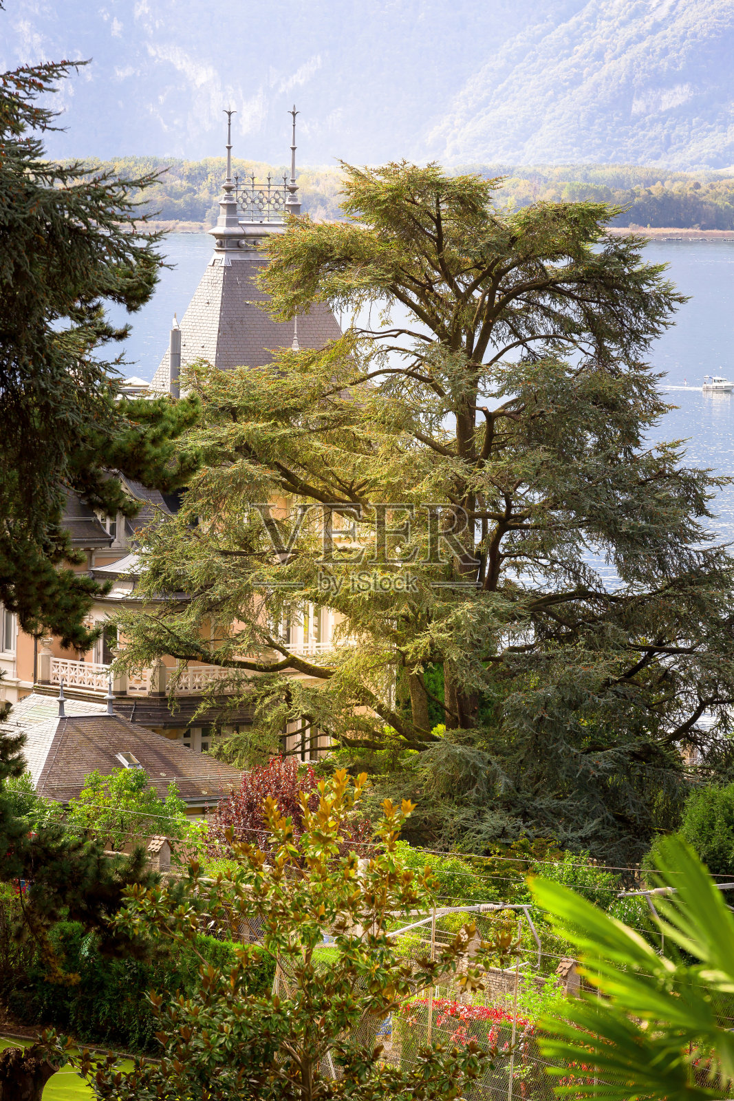 蒙特勒和日内瓦湖，瑞士照片摄影图片