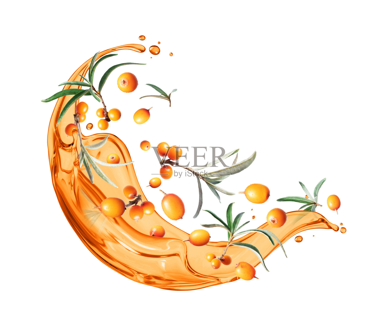 成熟的海纹<s:2>€€<e:1>€€<e:1>鼠李，叶子在白色的背景上分散在汁液上照片摄影图片