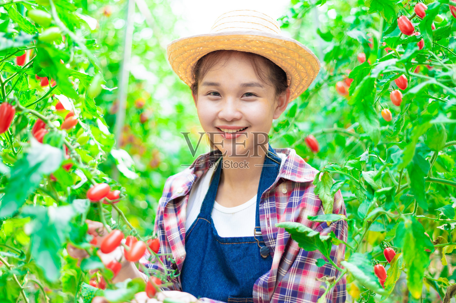 年轻的农民照片摄影图片
