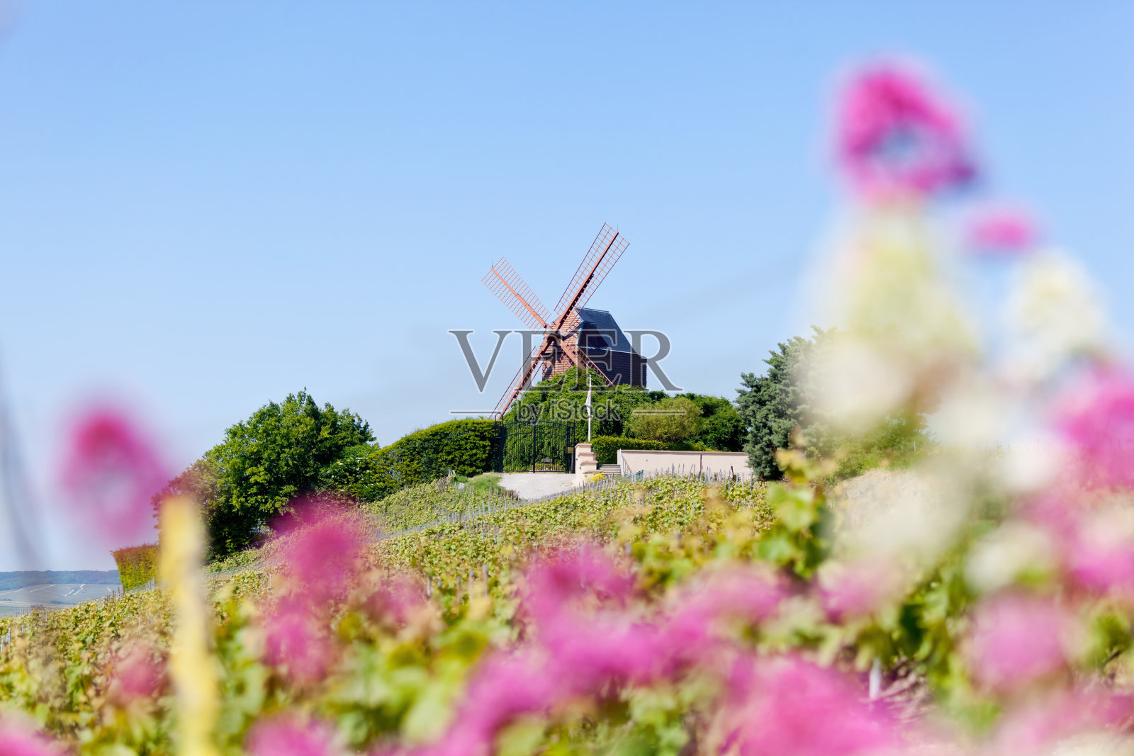 位于兰斯山脉香槟区牛肉山上的Verzenay风车，周围环绕着特级葡萄园照片摄影图片