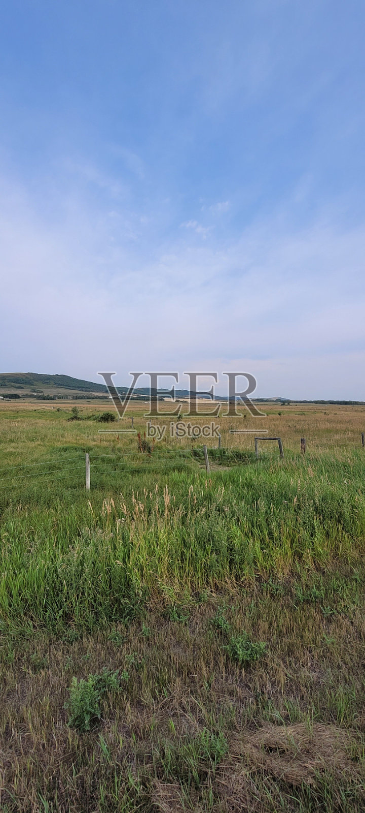 小牧场(1)照片摄影图片