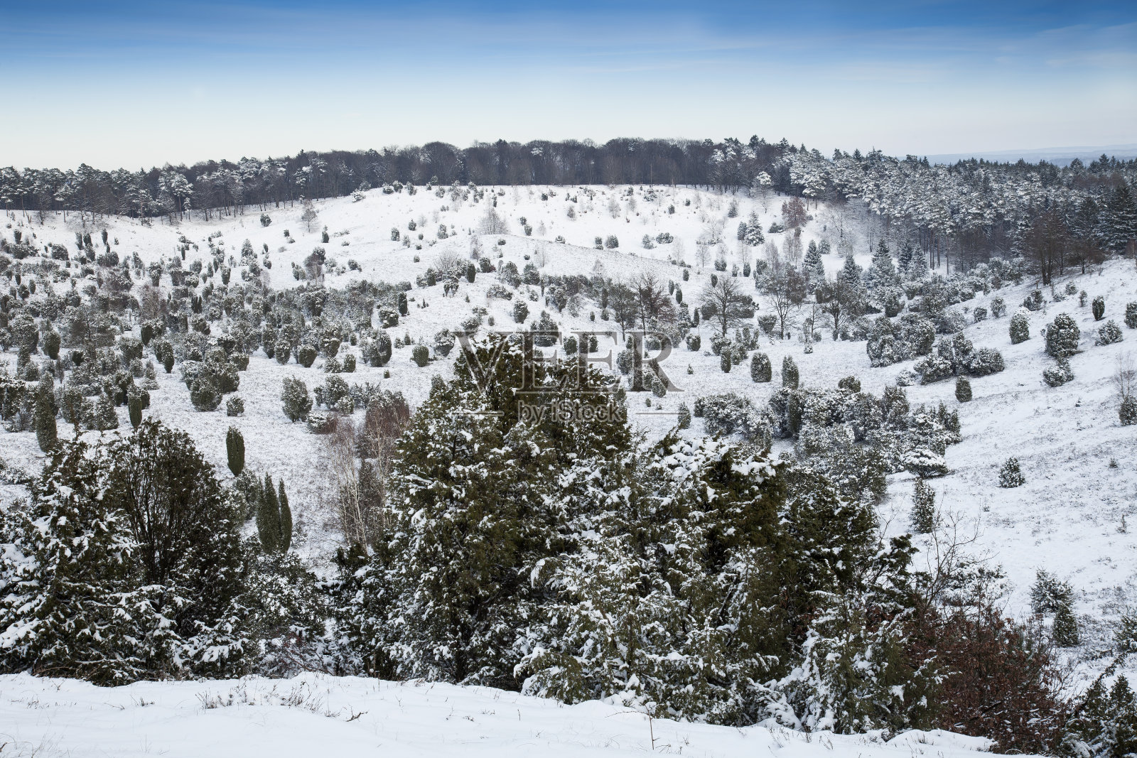 刚下过雪的Lueneburg Heath自然保护区景观，Lueneburg Heath，德国，欧洲下萨克森州照片摄影图片