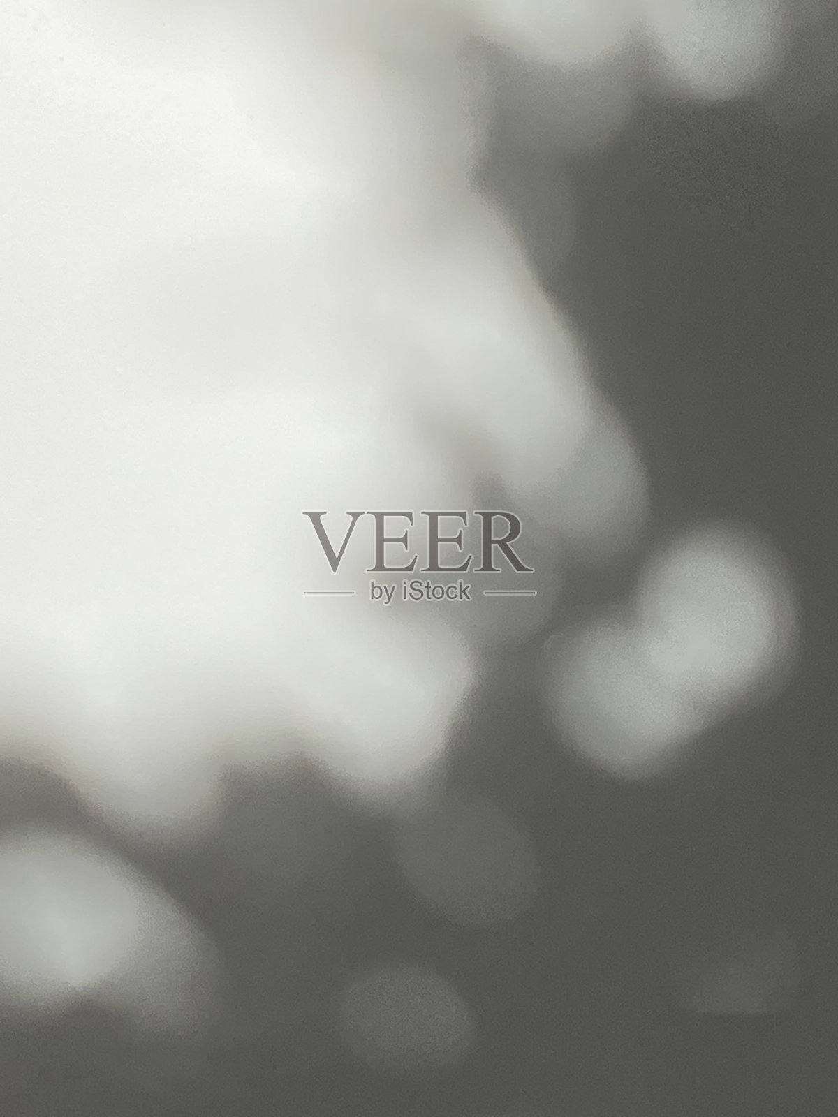 树叶的阴影背景上有木地板的纹理，树叶的枝干上有阳光的阴影照片摄影图片