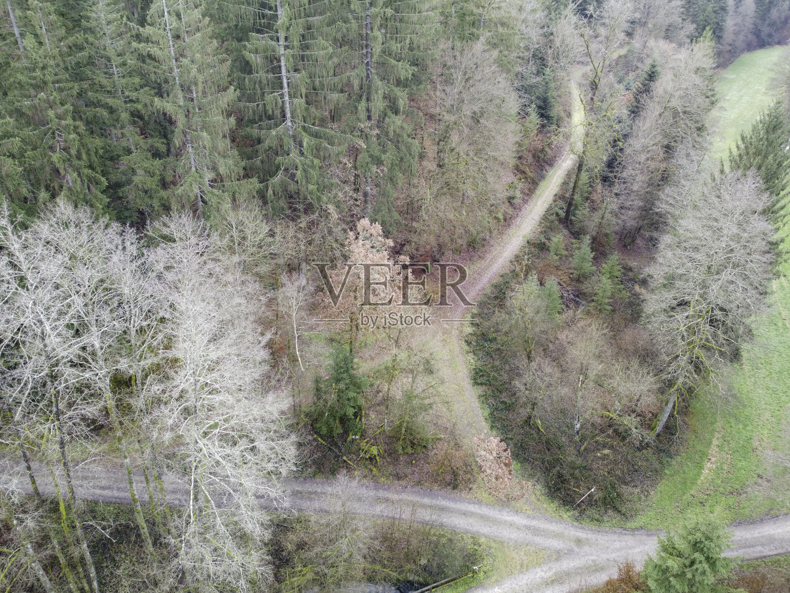 巴伐利亚森林的航拍照片，密密麻麻的针叶树和一片绿色的空地照片摄影图片