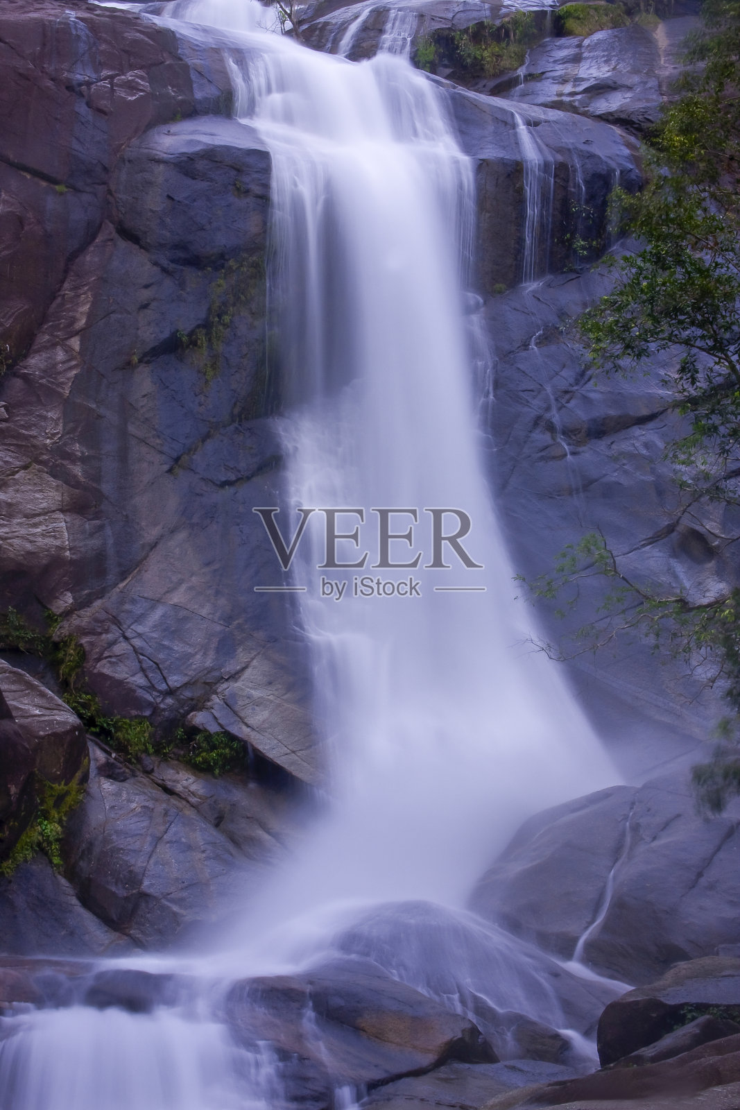 Regenwald照片摄影图片