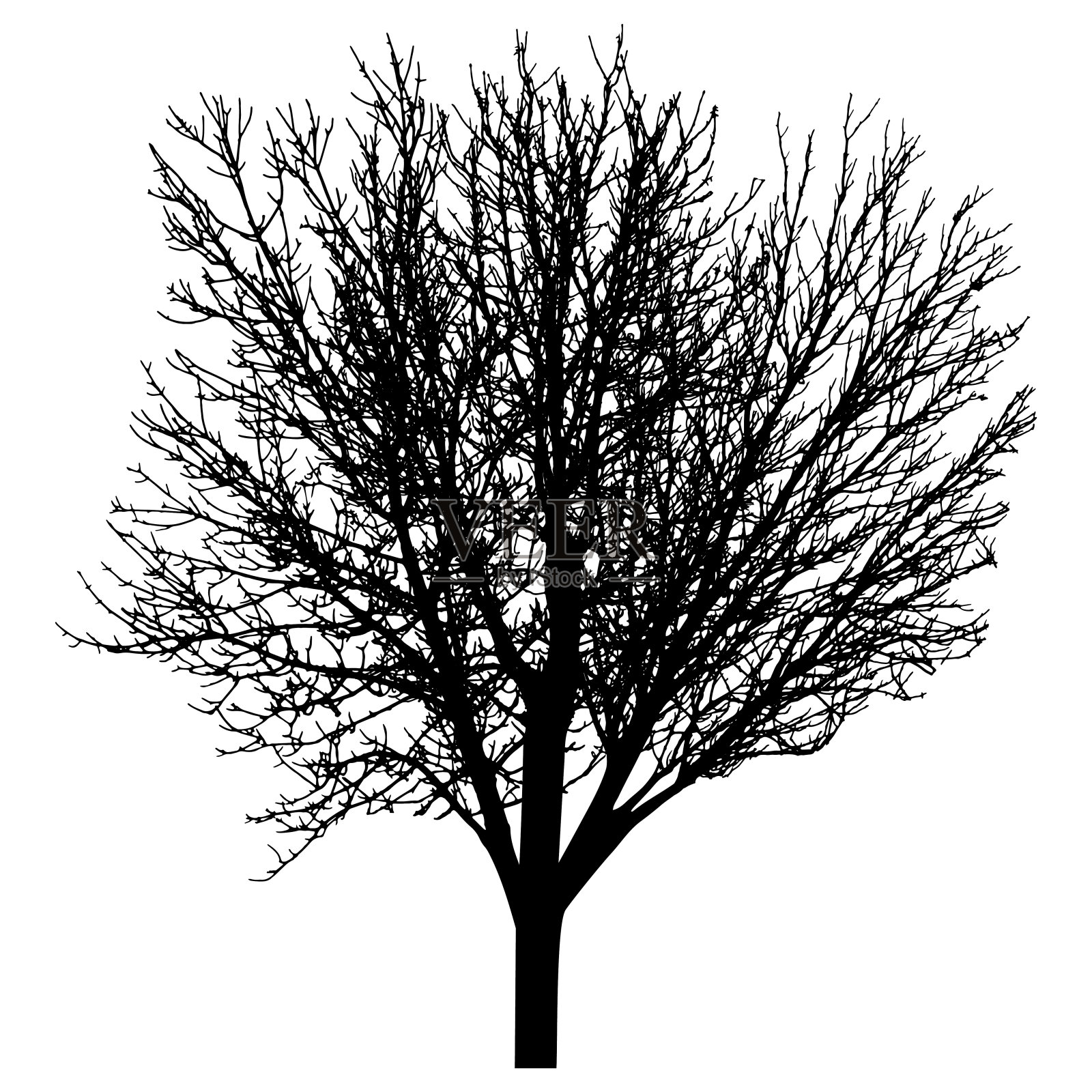 光秃秃的树与树枝剪影。美丽的光秃秃的树。矢量图插画图片素材