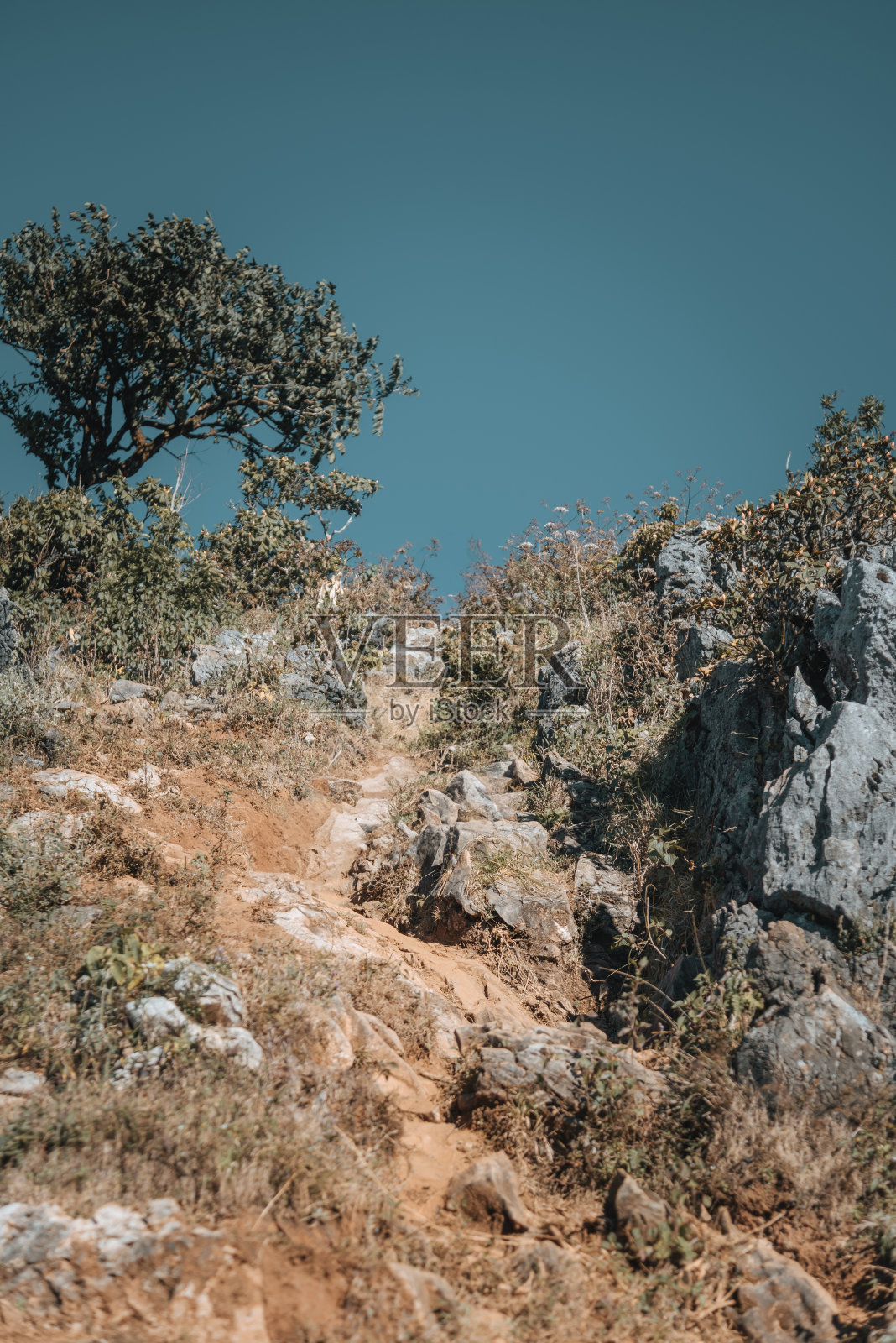 在泰国山区徒步旅行照片摄影图片