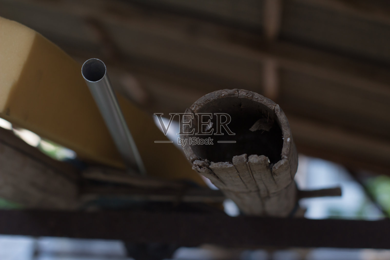 这竹子有一个很宽的洞照片摄影图片