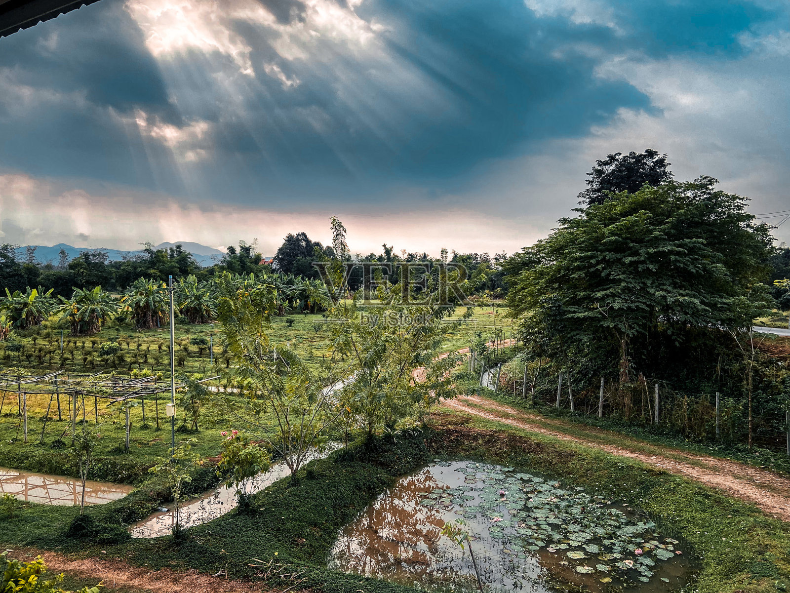 清迈省。阳光透过阴云密布的天空照耀在泰国清迈省的乡村山谷。泰国。照片摄影图片