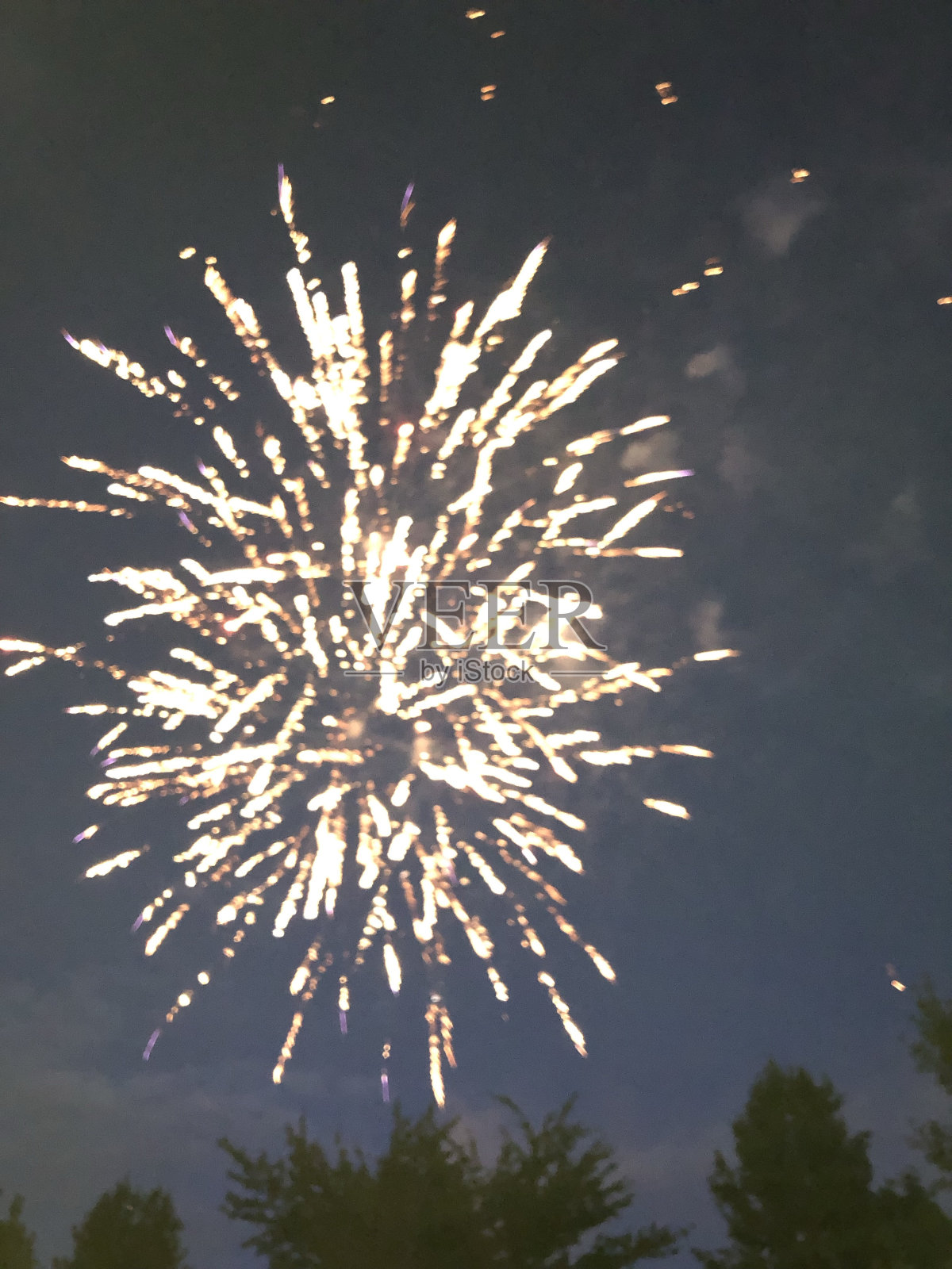 蝴蝶登陆和狩猎探险照片摄影图片