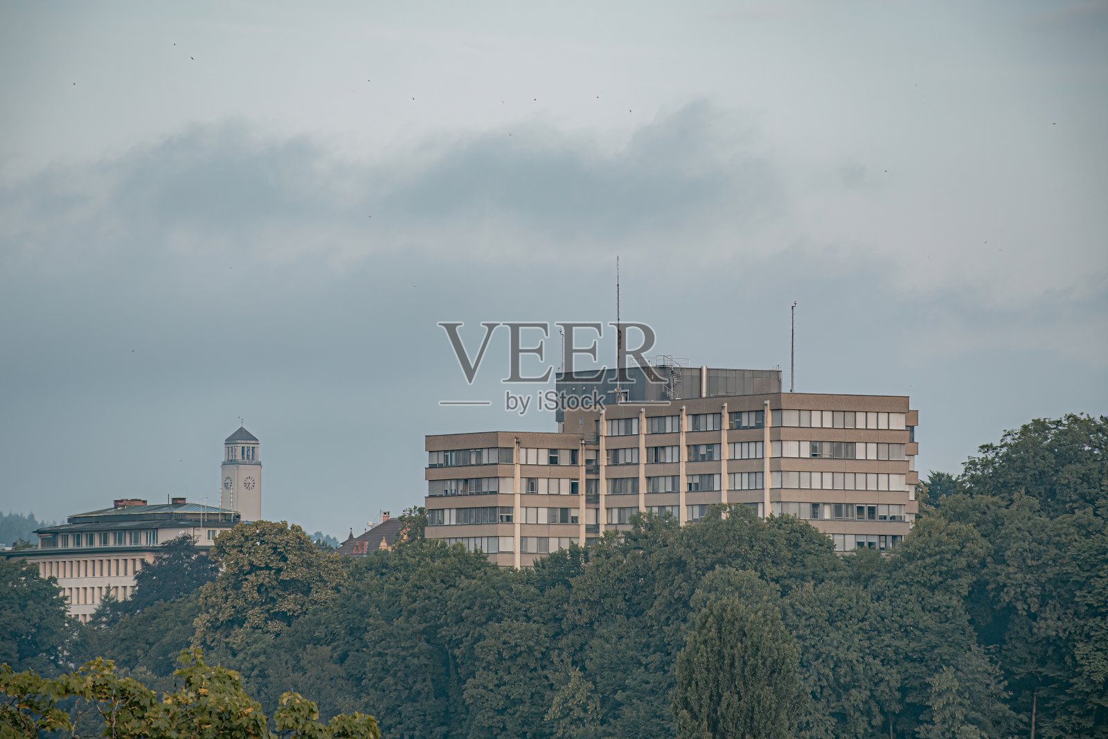 伯尔尼照片摄影图片