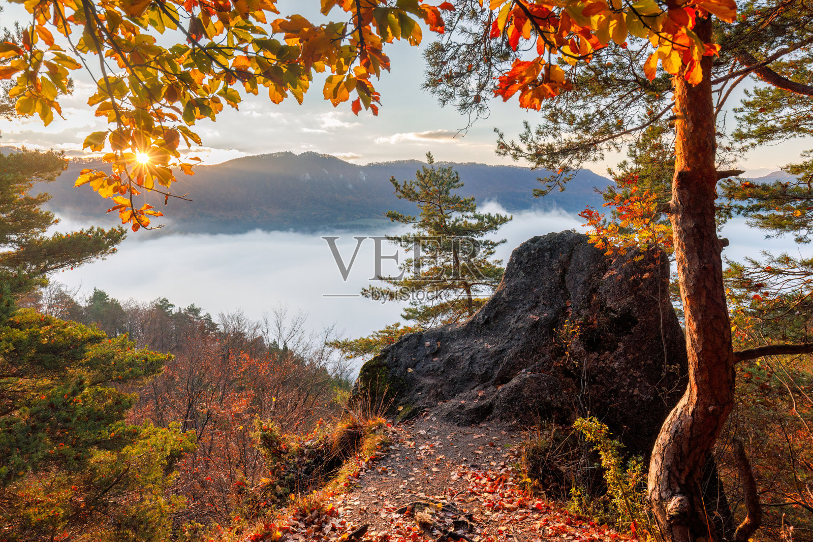 秋天早晨的山景和雾气弥漫的山谷。照片摄影图片