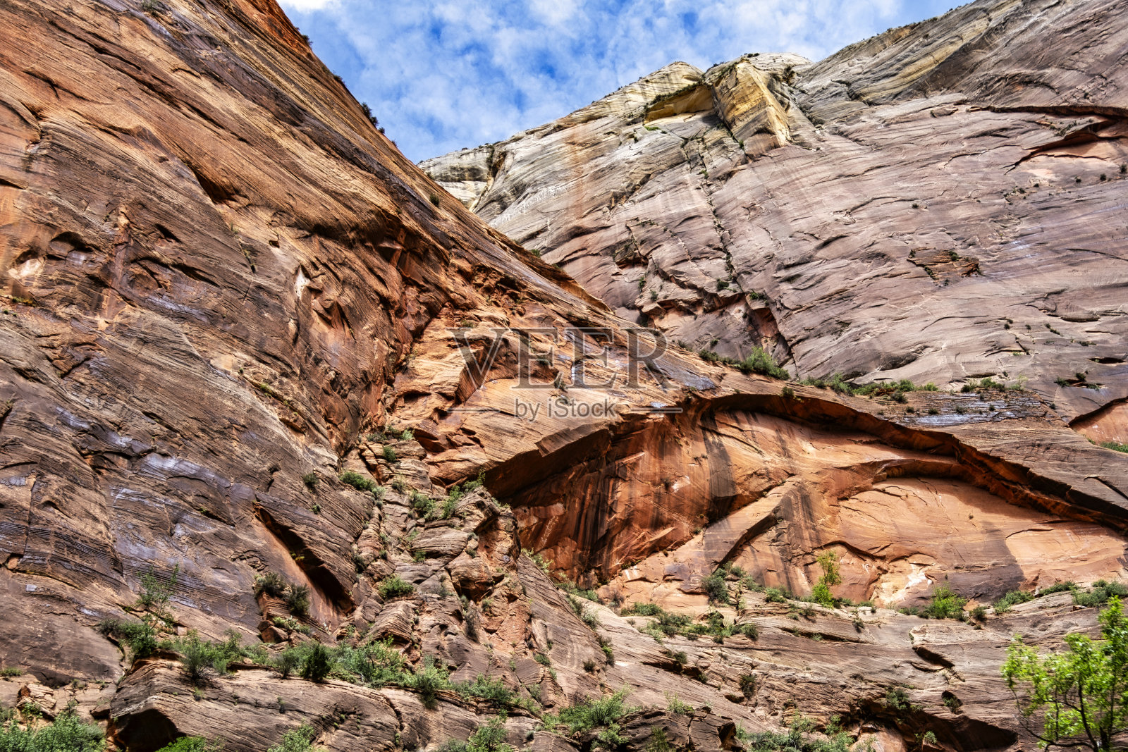 锡安国家公园的山脉照片摄影图片
