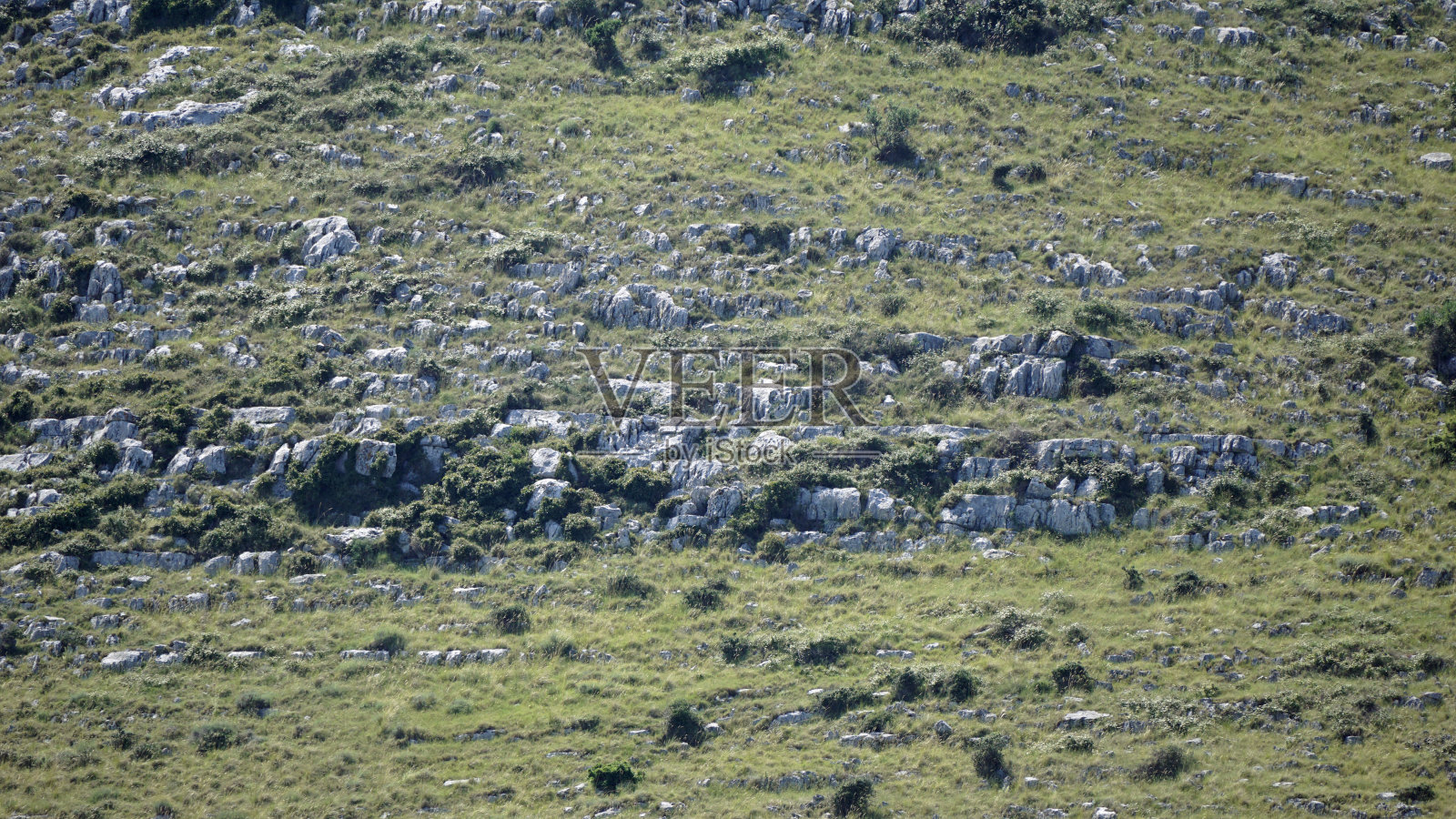 克罗地亚达尔马提亚的风景照片摄影图片