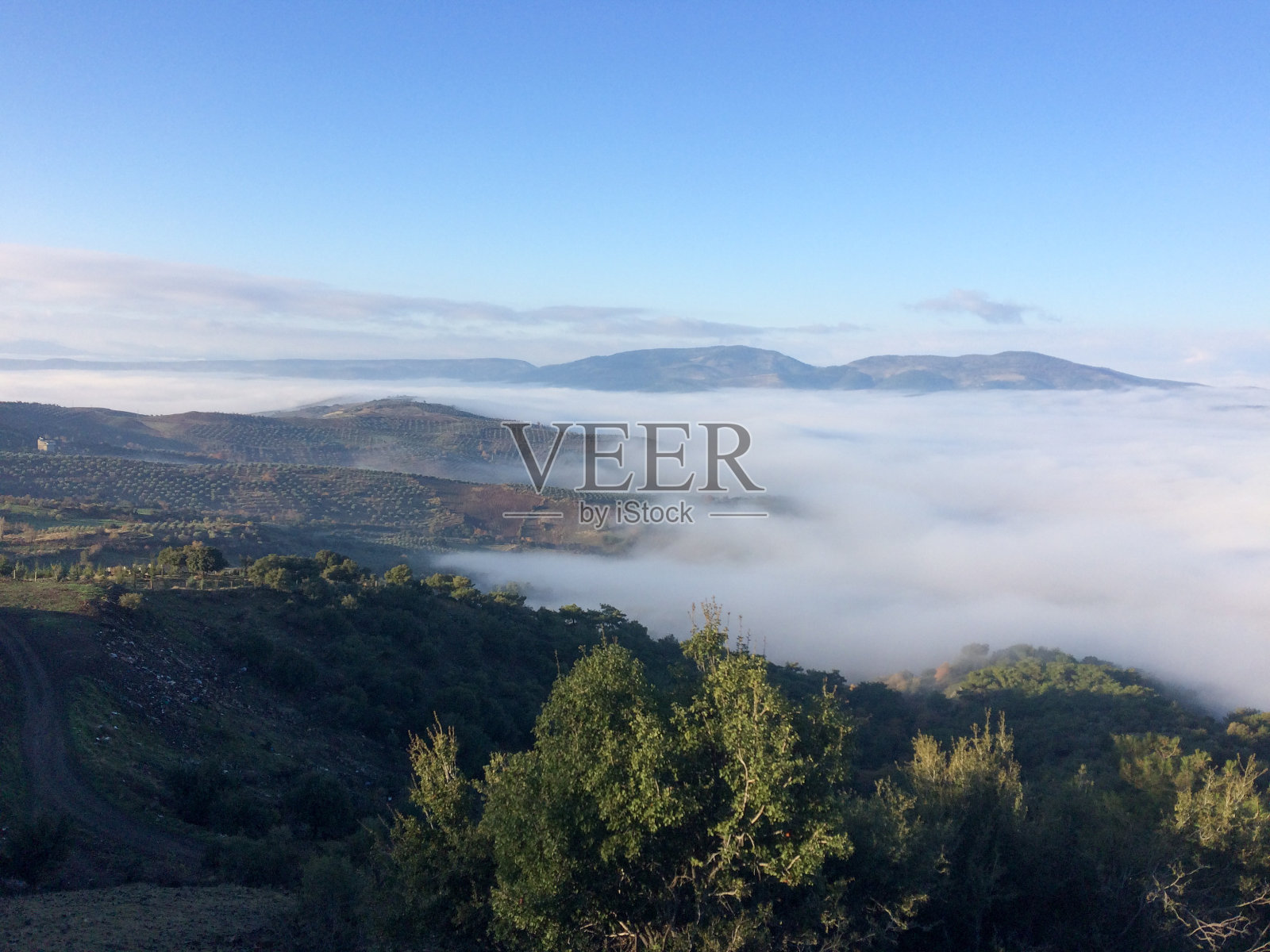 白云之上的山脉照片摄影图片