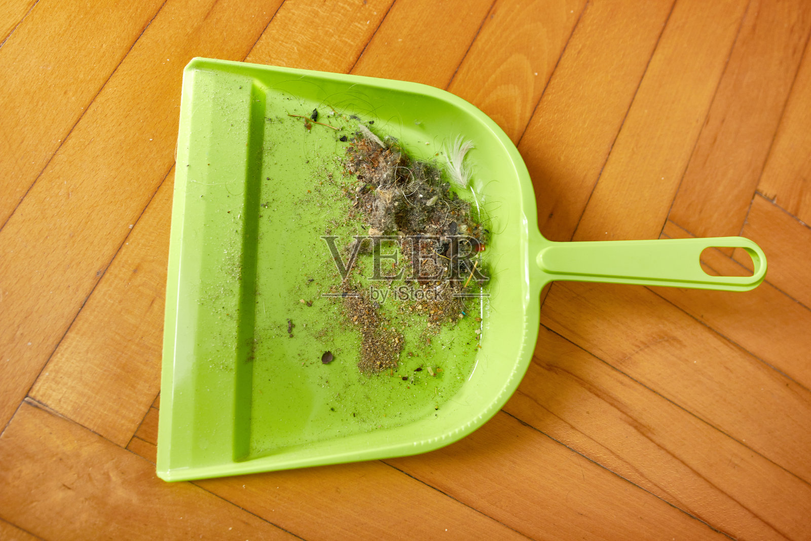 一勺垃圾。打扫屋子。照片摄影图片