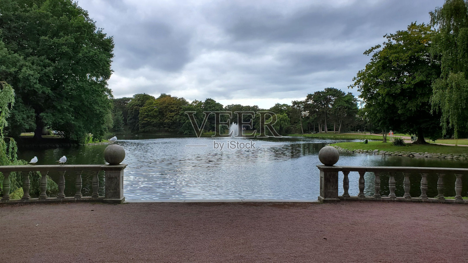 两只鸟站在桥上，背景是树照片摄影图片