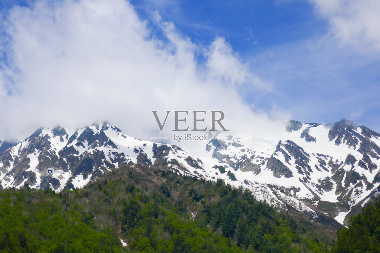 和平性质照片摄影图片