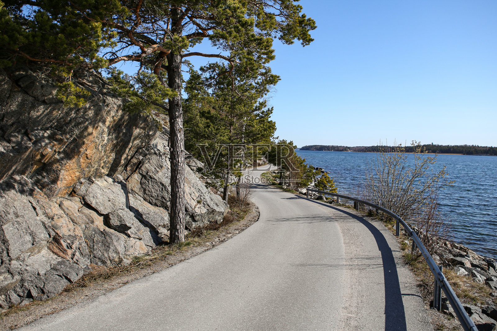 空车悬崖海边路靠近波罗的海与树木。照片摄影图片