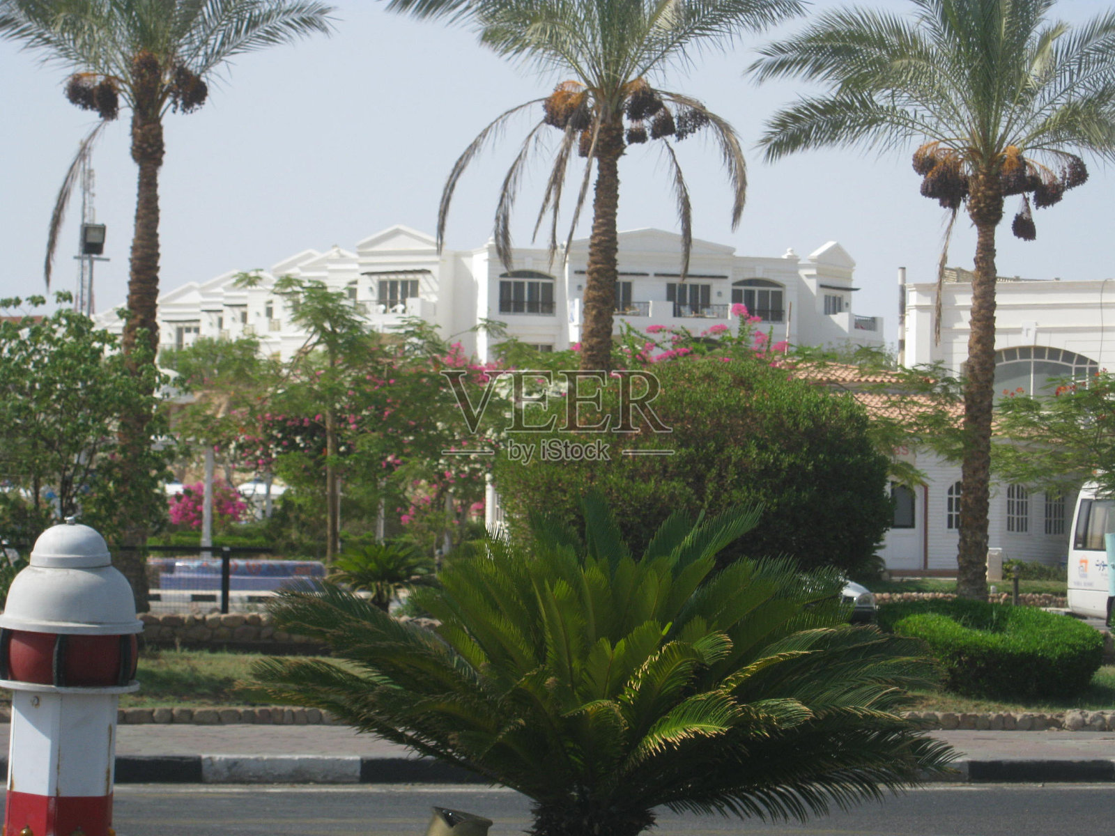 2011年埃及-沙姆沙伊赫之旅照片摄影图片