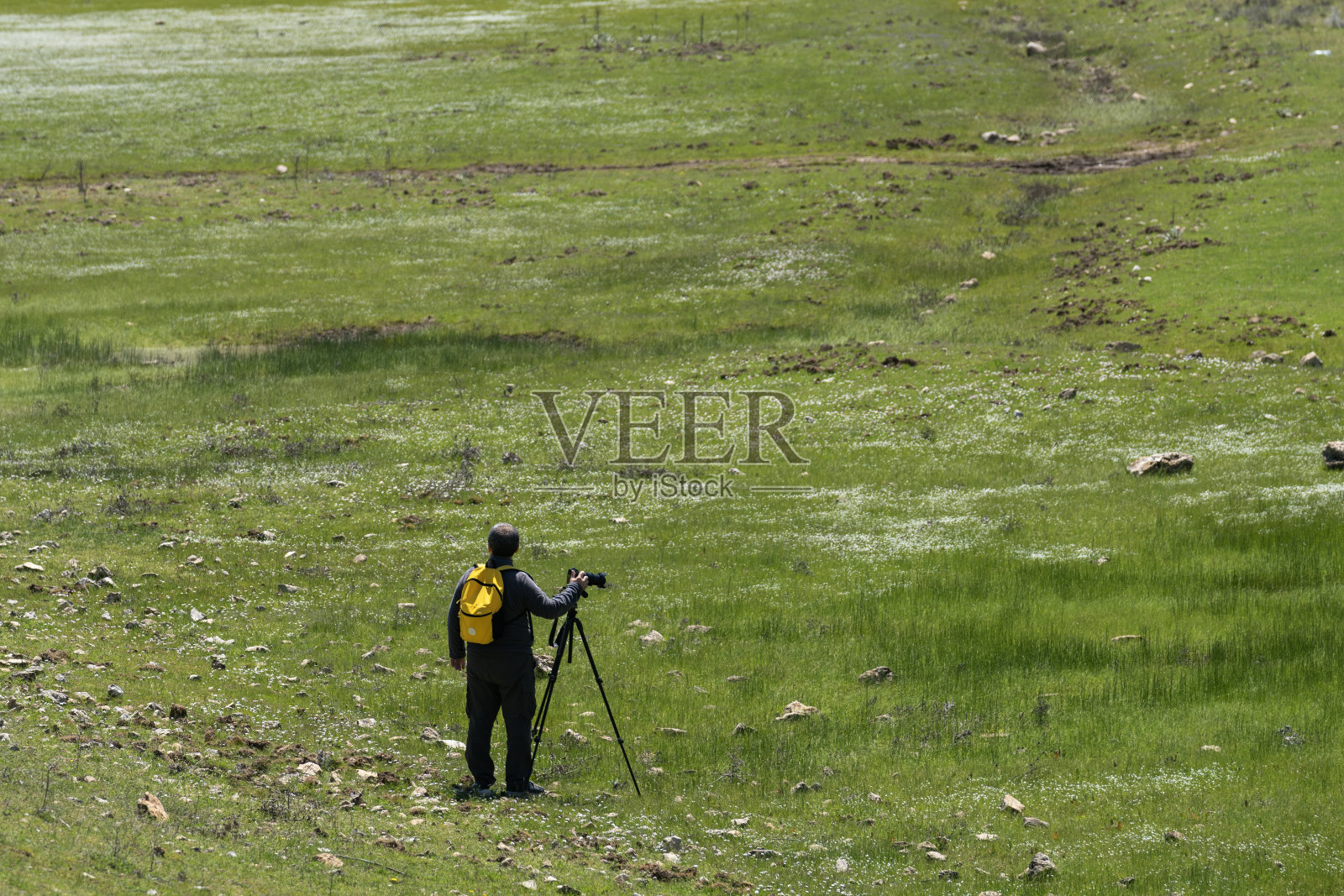 成熟的成年男子在大自然中拍照照片摄影图片