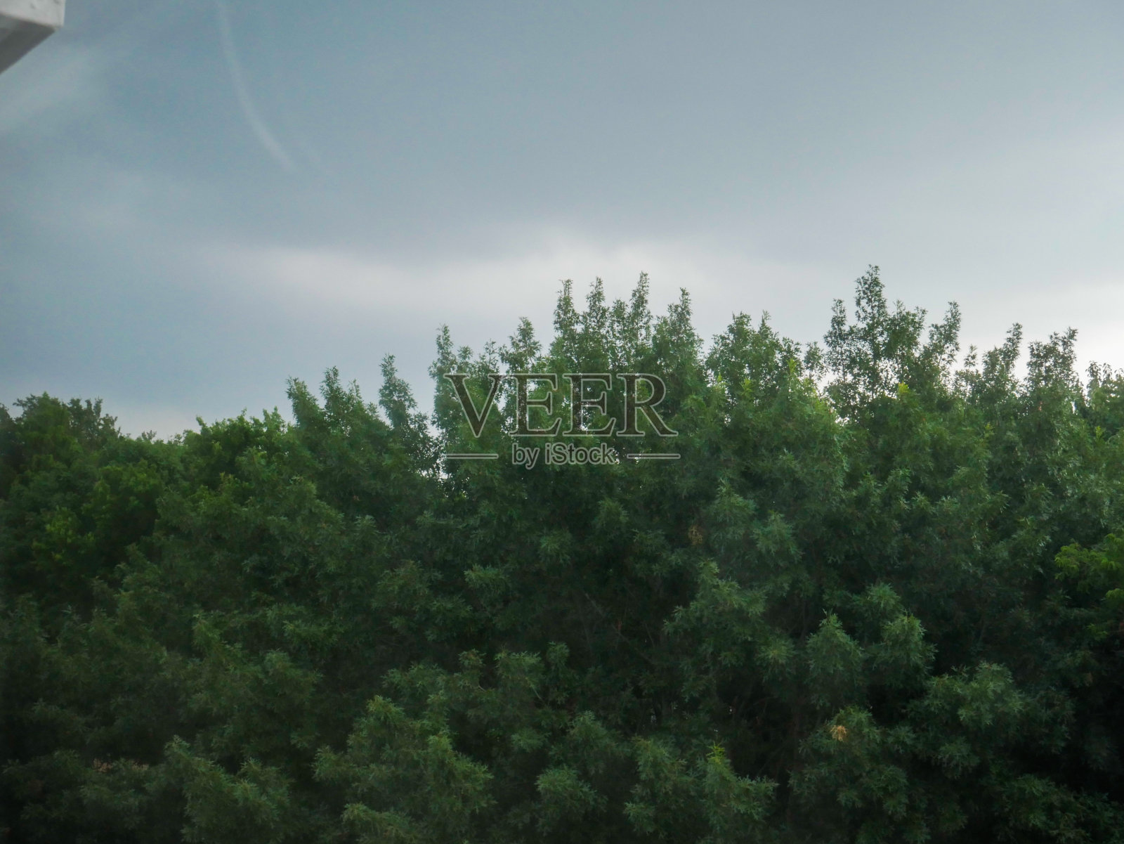 达拉斯风暴照片摄影图片