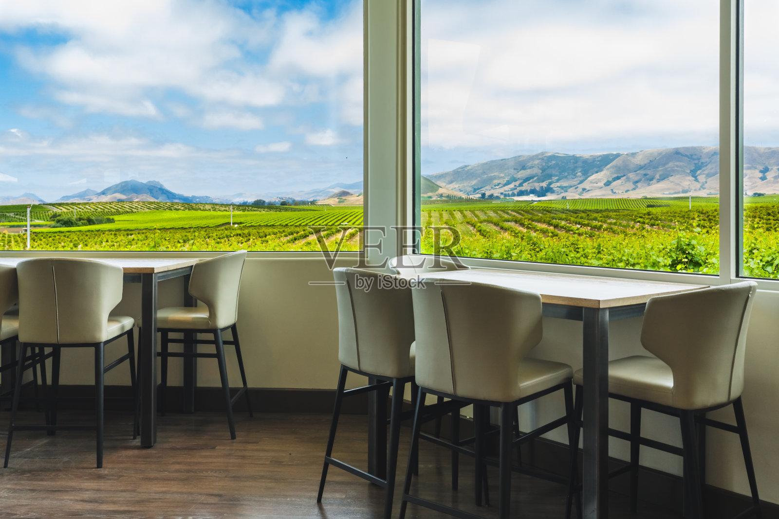 酒庄的品酒室，一个华丽的现代空间，窗户可以看到葡萄园。加州的葡萄园照片摄影图片