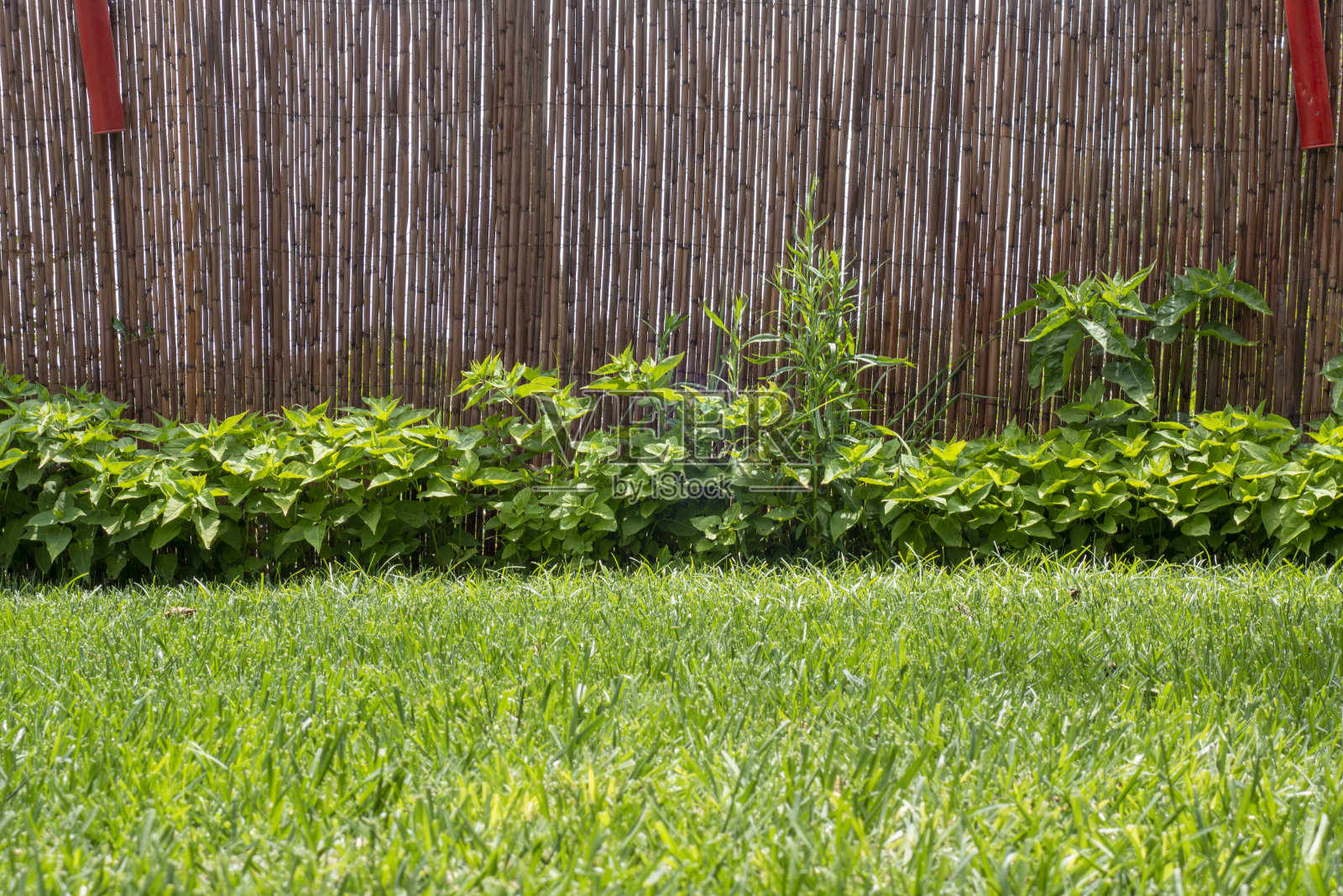 竹制篱笆照片摄影图片