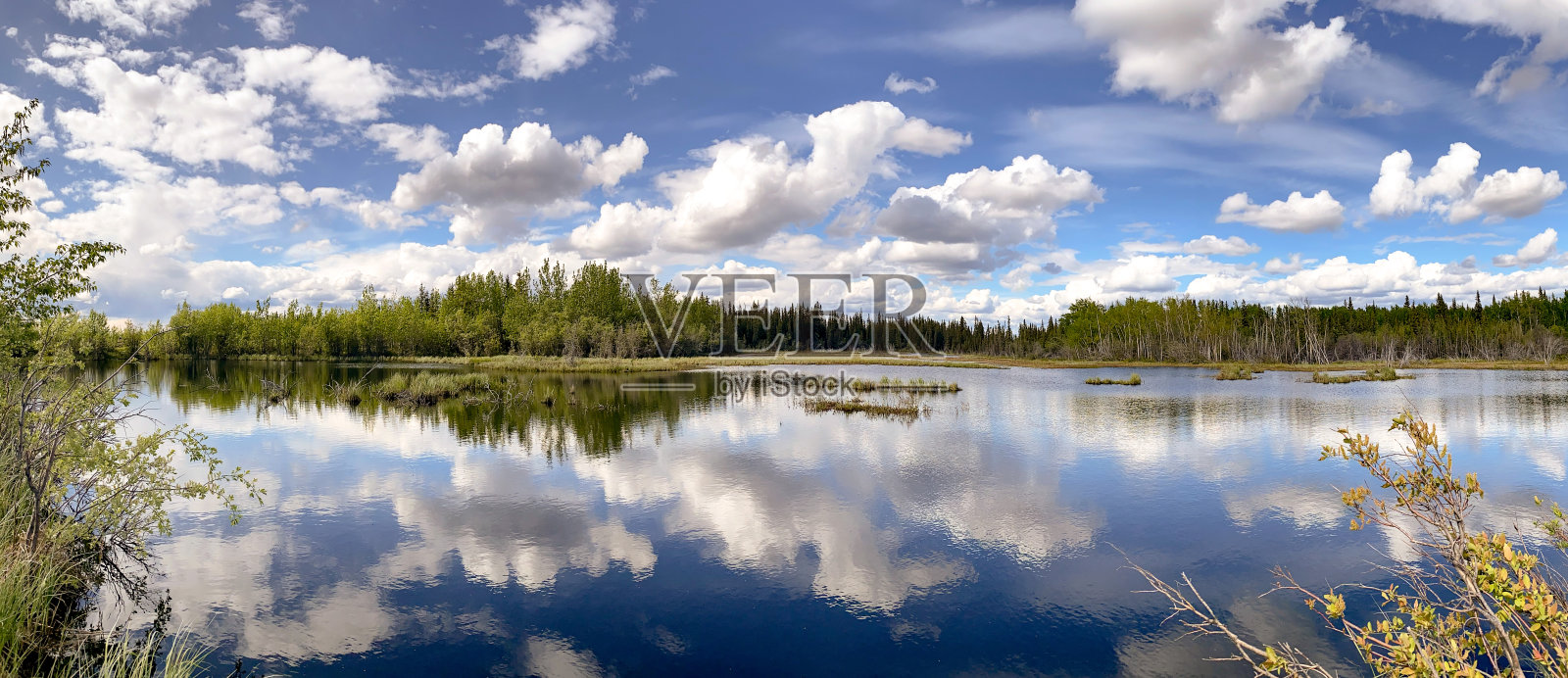 双侧线对称 ——湖边的倒影照片摄影图片