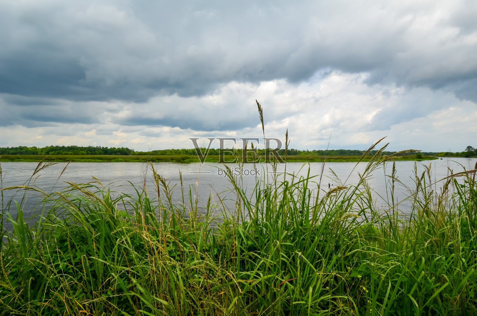 南卡罗来纳州风景照片摄影图片