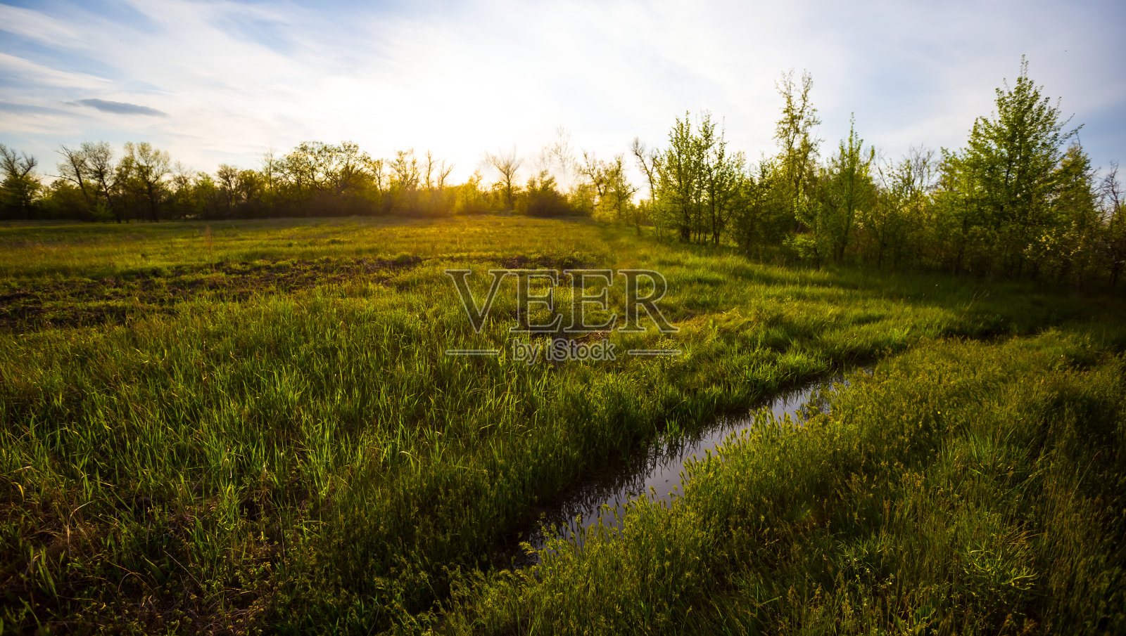 日落时的绿色林间空地和地面道路照片摄影图片