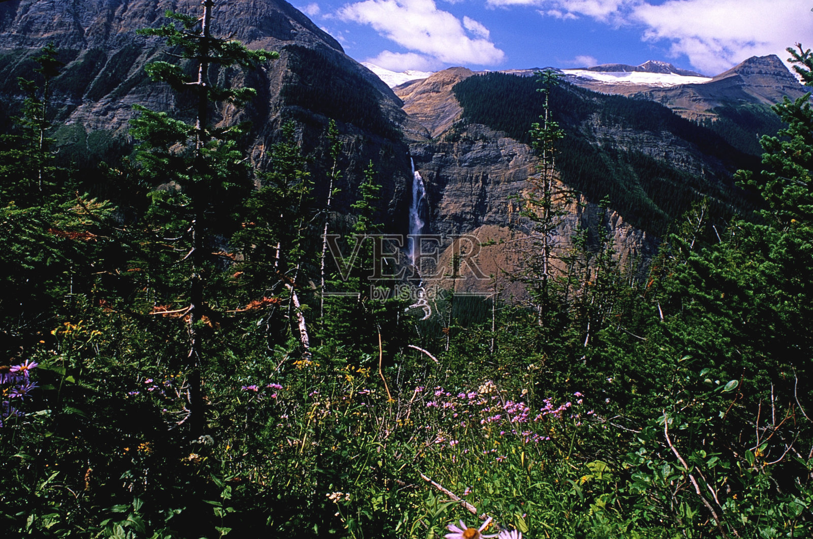 加拿大不列颠哥伦比亚省尤霍国家公园塔卡考瀑布照片摄影图片