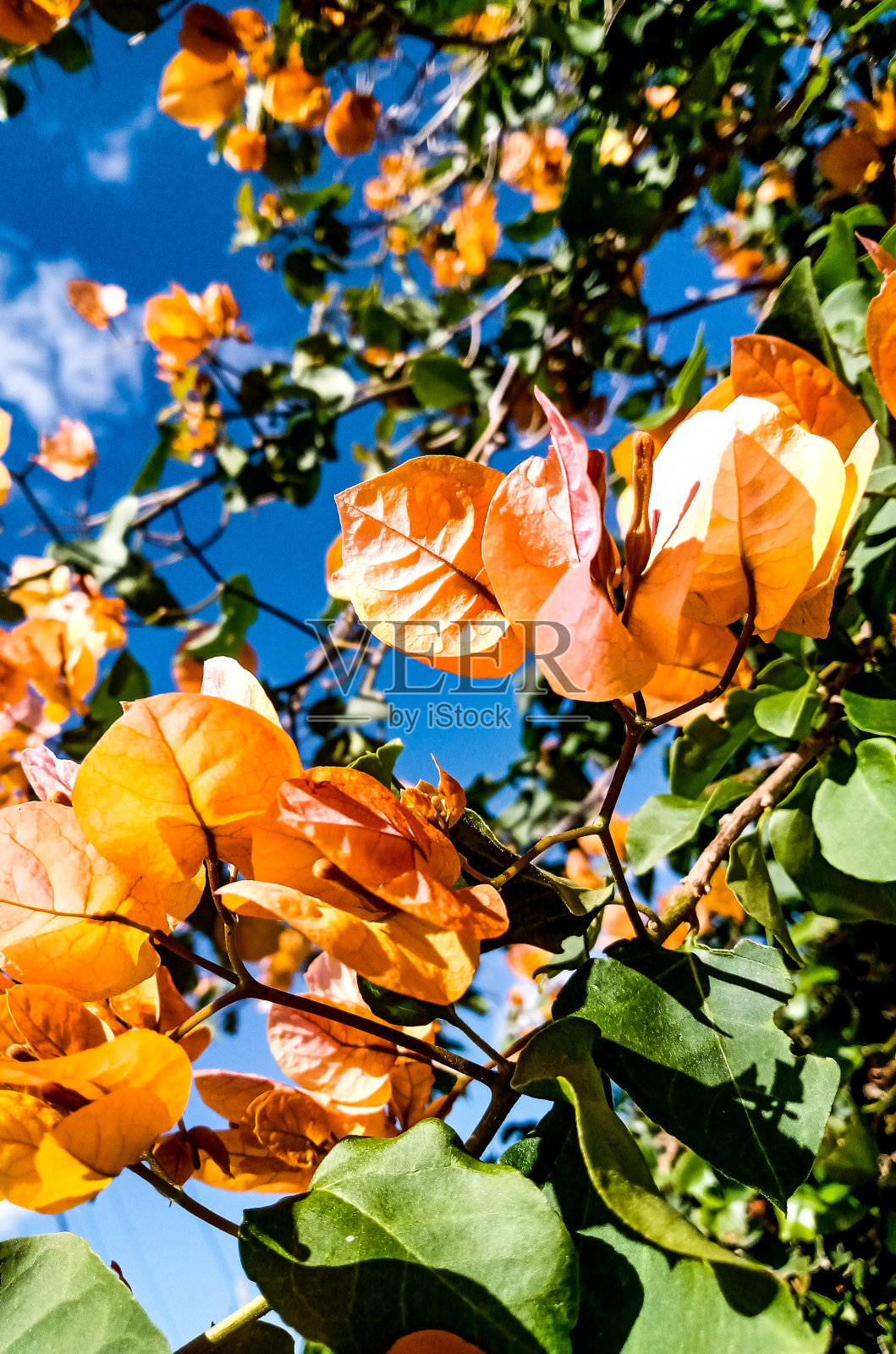 三种颜色照片摄影图片