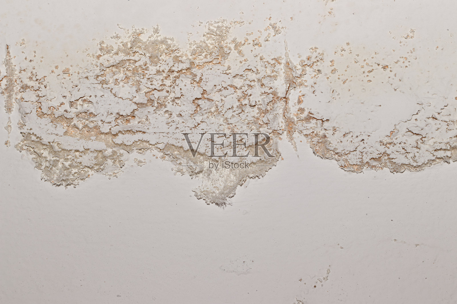 建筑物墙壁上的室内花期照片摄影图片