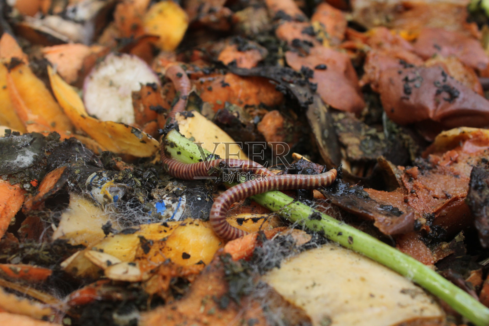 堆肥照片摄影图片