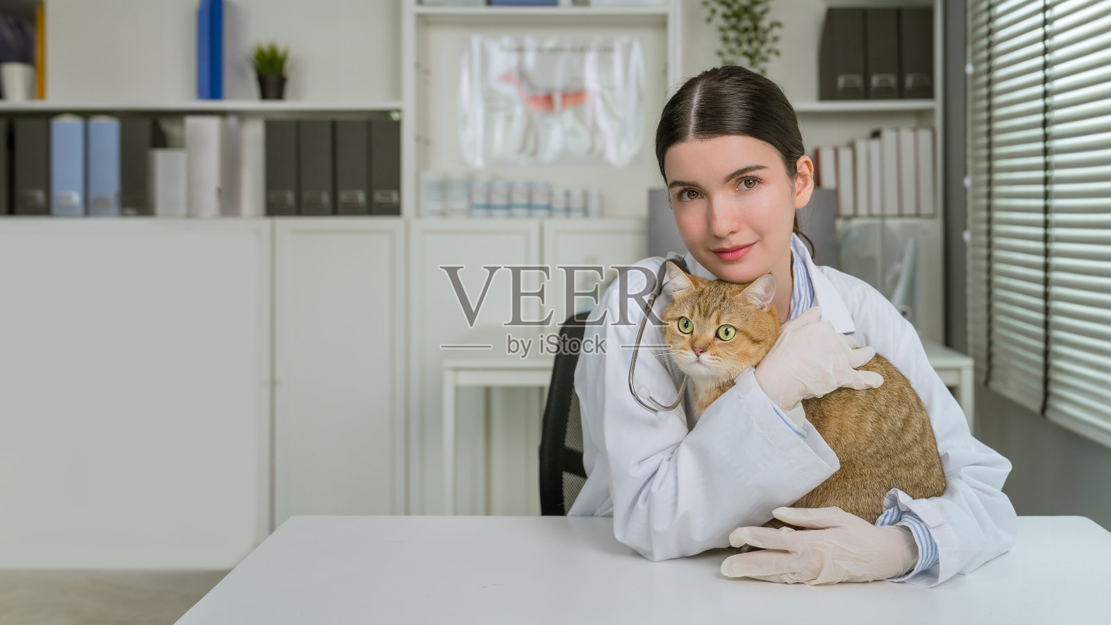 亚洲女兽医在诊所的诊断台上抱着一只可爱的猫照片摄影图片