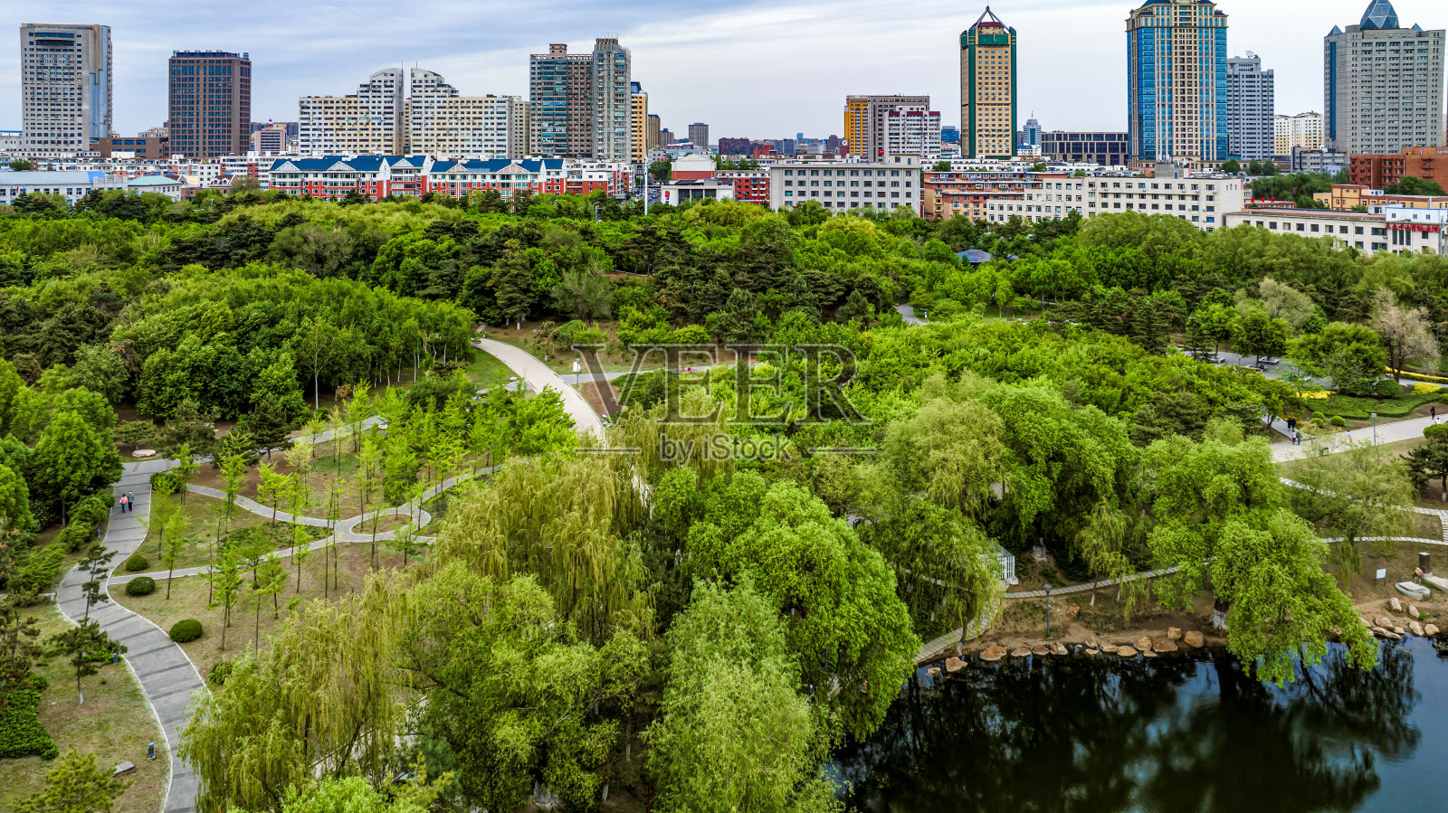 中国长春雨花园夏日风光照片摄影图片